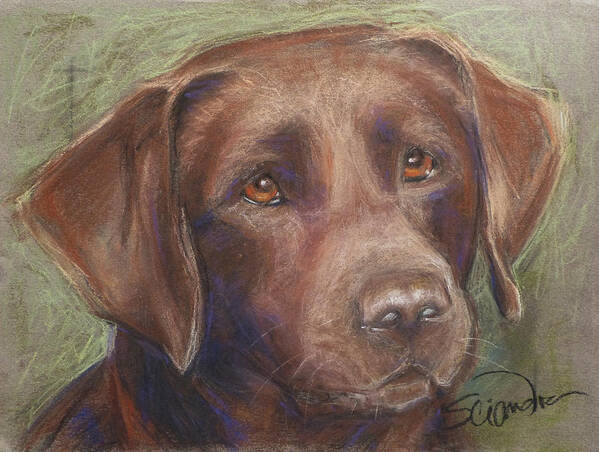 Pet Art Print featuring the painting Chocolate Labrador by Sciandra 