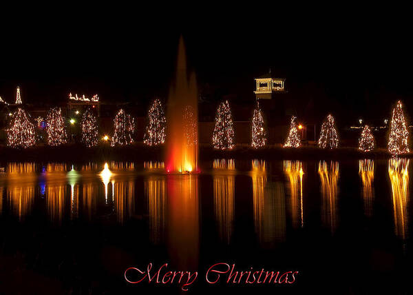 Christmas Trees Art Print featuring the digital art Christmas Reflection - Christmas Card by Flees Photos