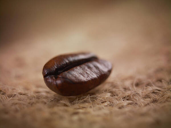 Burlap Art Print featuring the photograph Close Up Of Coffee Bean by Adam Gault