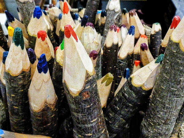 Pencils Art Print featuring the photograph Colored Pencils by Don Margulis