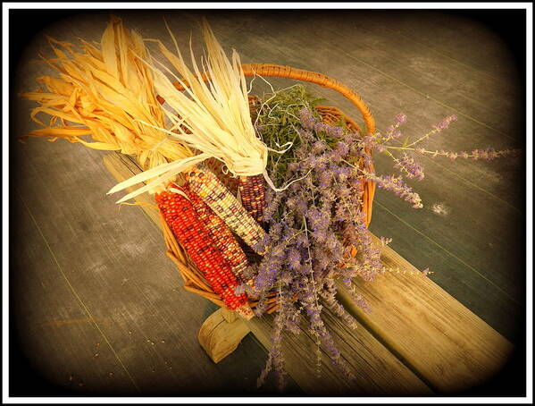Corn Art Print featuring the photograph The Colors of Autum Colorful Corn and Purple Flowers by Kathy Barney