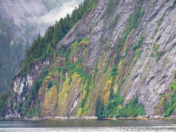 Landscape Art Print featuring the photograph Colors of Alaska - Misty Fjords by Natalie Rotman Cote