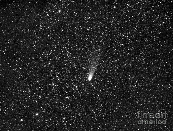 Comet Art Print featuring the photograph Comet Bradfield by Chris Cook