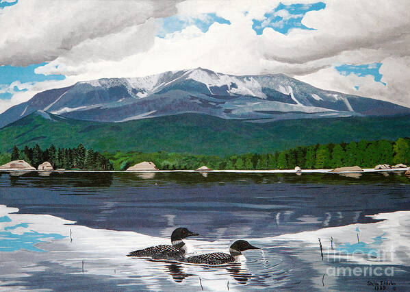 Mountain Framed Prints Art Print featuring the painting Common Loon on Togue Pond by Mount Katahdin by Stella Sherman