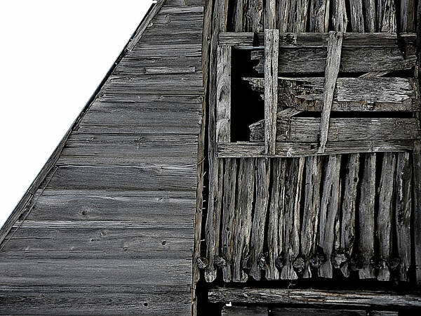 Barn Art Print featuring the photograph Commons Ford Barn by Gia Marie Houck