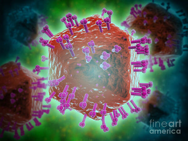 Single Object Art Print featuring the digital art Conceptual Image Of Hiv Virus by Stocktrek Images