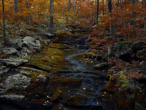 Connecticut Autumn Art Print featuring the photograph Connecticut Autumn by Raymond Salani III