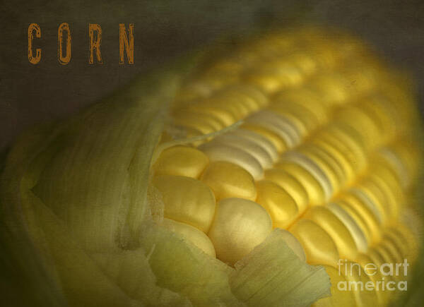 Corn Art Print featuring the photograph Corn by Elena Nosyreva