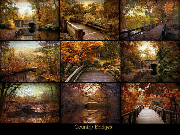 Bridges Art Print featuring the photograph Country Bridges by Jessica Jenney