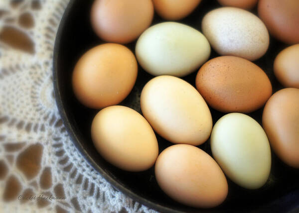 country Egg Skillet Art Print featuring the photograph Country Egg Skillet by Cricket Hackmann