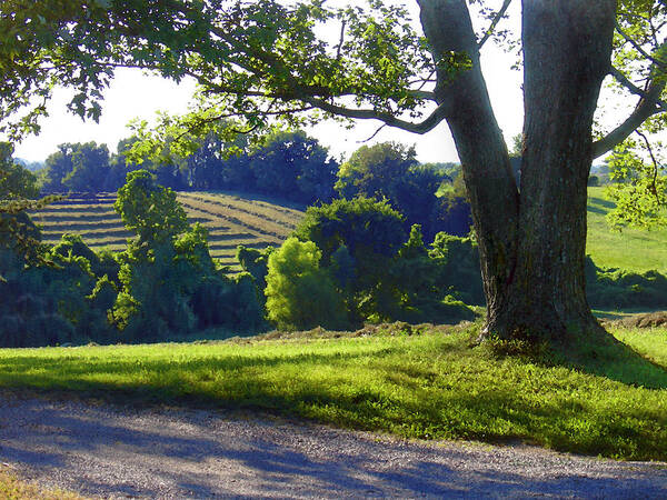 Landscape Art Print featuring the photograph Country Landscape by Steve Karol