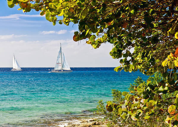 Cozumel Art Print featuring the photograph Cozumel Sailboats by Mitchell R Grosky