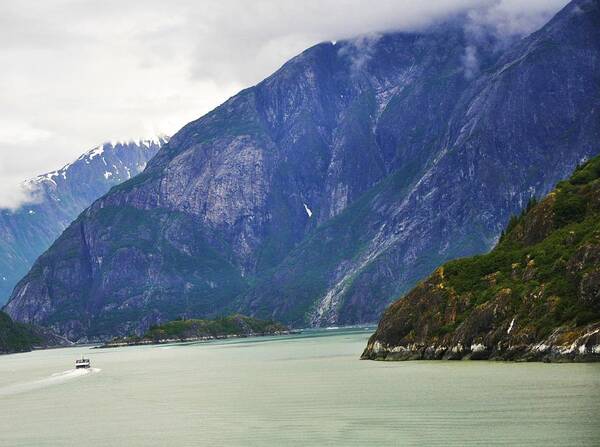 Cruising Art Print featuring the photograph Cruising in Alaska by Vijay Sharon Govender