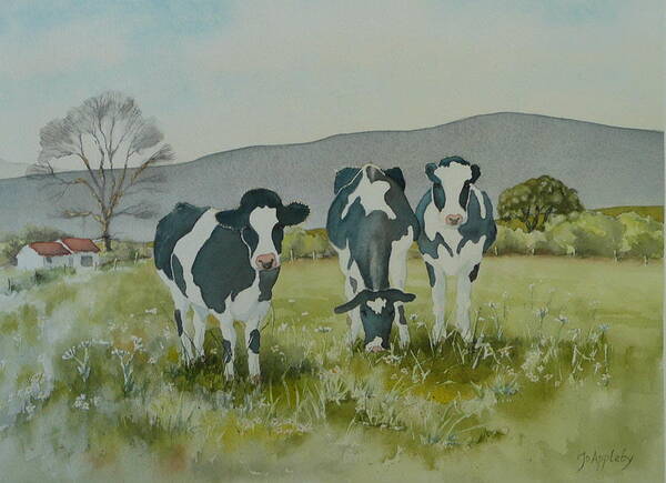 Jo Appleby Art Print featuring the painting Curious Cows by Jo Appleby