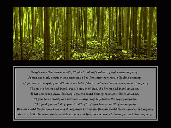 Mother Teresa Art Print featuring the photograph Do It Anyway Bamboo Forest by David Dehner