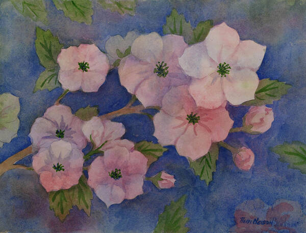 Floral Art Print featuring the painting Dogwood blossoms on Ultramarine blue by Heidi E Nelson