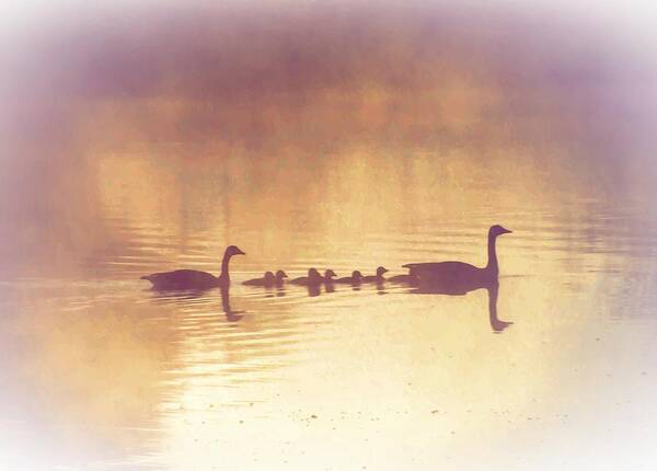 Duck Art Print featuring the photograph Duck Family by Bill Cannon