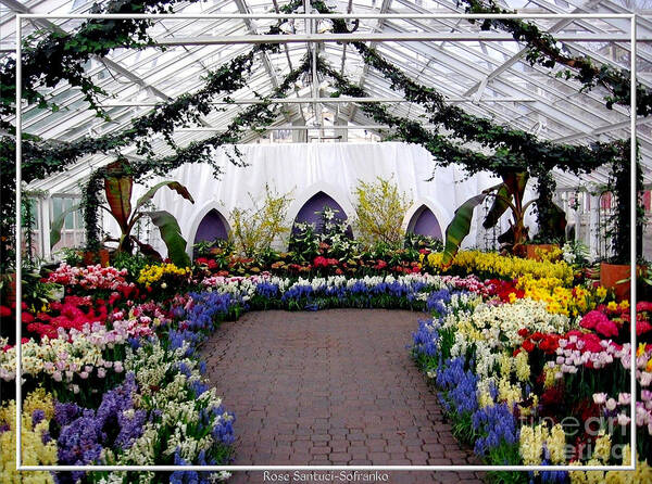 Buffalo And Erie County Botanical Gardens Art Print featuring the photograph Easter Spring Flower Show at Botanical Gardens by Rose Santuci-Sofranko