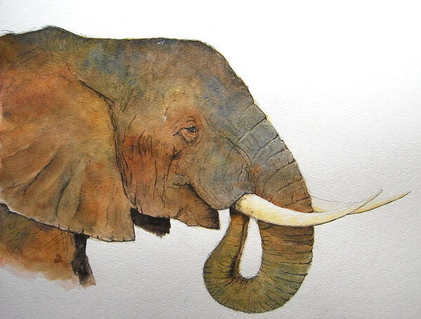 Elephant Art Print featuring the painting Elephant head study by Juan Bosco