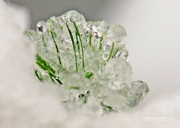 Icicles Art Print featuring the photograph Emerald in Ice by Chuck Flewelling
