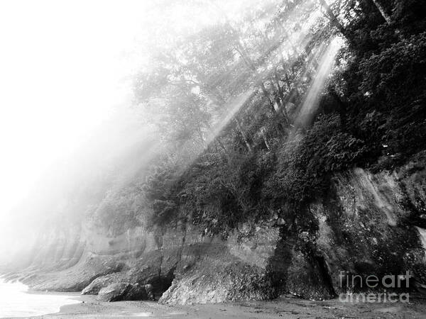 Shoreline Art Print featuring the photograph Ethereal Seashore by Gayle Swigart