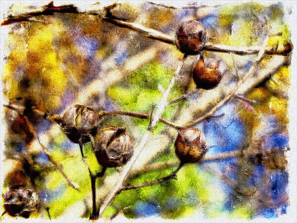 Fall Art Print featuring the photograph Fall Crepe Myrtle by Melissa Bittinger