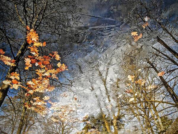 Landscapes Art Print featuring the photograph Fall Reflections by Joan Reese