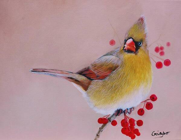 Bird Art Print featuring the painting Female Cardinal by Jean Yves Crispo