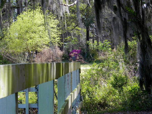 Fence Art Print featuring the photograph Fence Points the Way by Patricia Greer