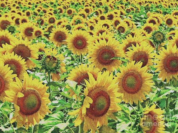 Field Of Sunflowers Art Print featuring the photograph Field of Dreams by Robert ONeil