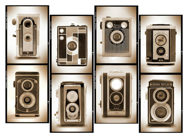 Vintage Cameras Art Print featuring the photograph Film Camera Proofs 4 by Mike McGlothlen
