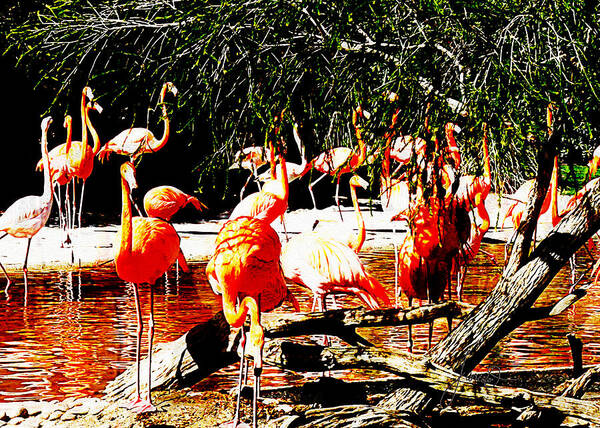 Bird Art Print featuring the digital art Flamingo Stampede by Janice OConnor