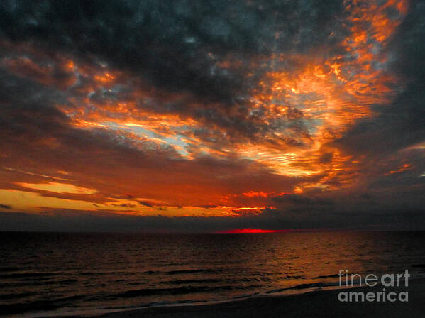 Art Prints Art Print featuring the photograph Florida Sunset by Dave Bosse