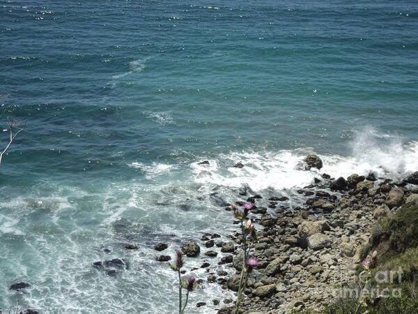 Ocean Art Print featuring the photograph Flowers by the Seashore by Carla Carson