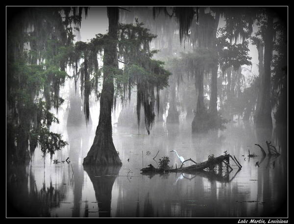 Orcinusfotograffy Art Print featuring the photograph Foggy Egret by Kimo Fernandez