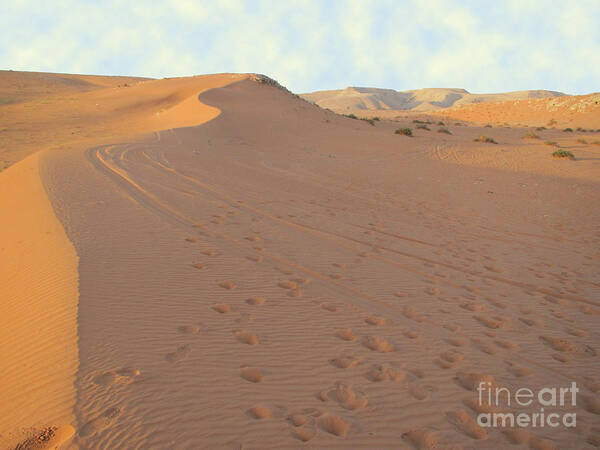 Footprints Art Print featuring the photograph Footprints in the sand by Michael Waters