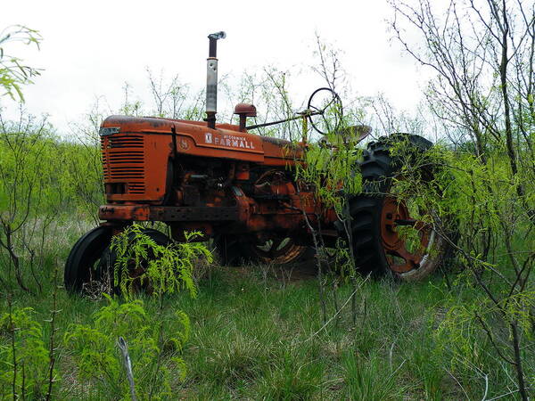 Farmall Art Print featuring the photograph Forgotten Farmall by The GYPSY