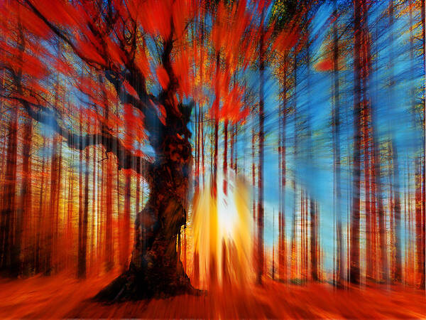 Color Art Print featuring the painting Forrest And Light by Tony Rubino