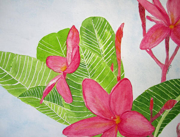 Floral Art Print featuring the painting Frangipani Tree by Elvira Ingram