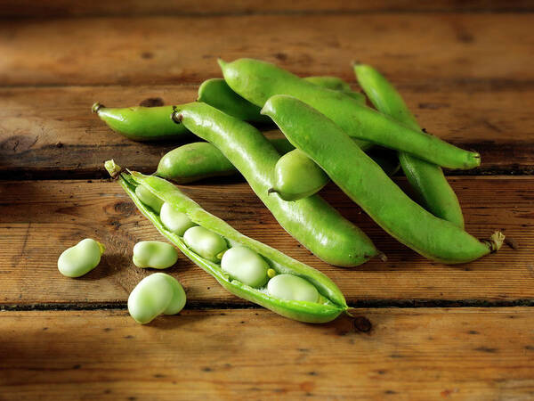Healthy Eating Art Print featuring the photograph Fresh Broad Beans In Their Pods by Paul Williams - Funkystock