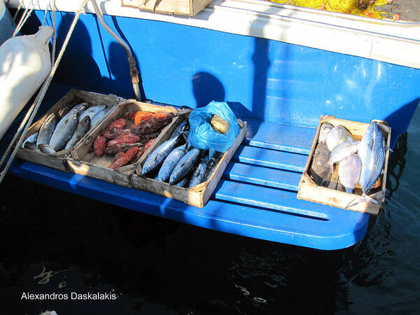 Alexandros Daskalakis Art Print featuring the photograph Fresh Fish in Hydra by Alexandros Daskalakis