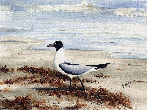 Gull Art Print featuring the painting Galveston Gull by Sam Sidders