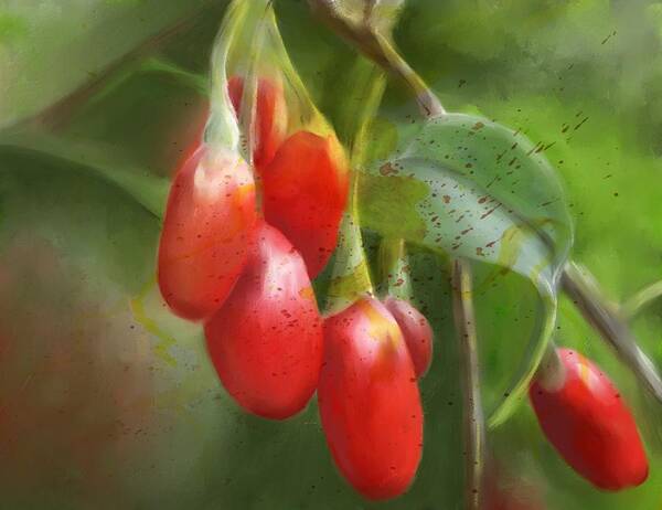 Gojo Berries Art Print featuring the painting GoJo Berries by Colleen Taylor