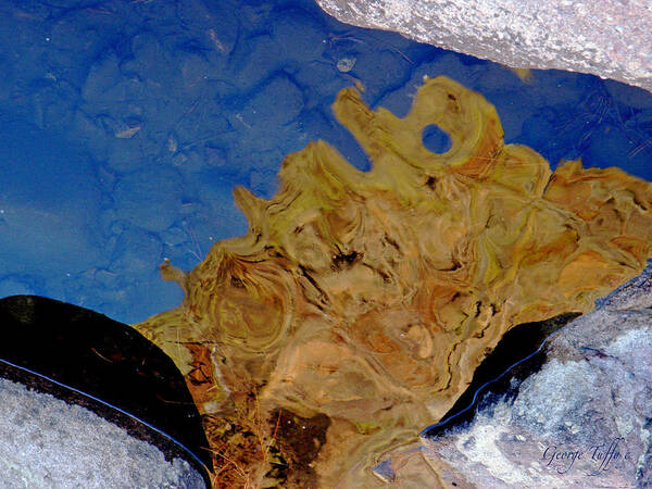 Gold Blue Reflection Water Ice Rock Winter Nature Creek Eldorado Zen Simple Abstract Colorado Rocky Mountains Art Print featuring the photograph Gold Blue Reflection by George Tuffy