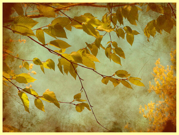 Leaves Art Print featuring the digital art Golden Leaves-2 by Nina Bradica