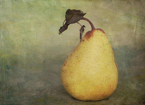 Juicy Art Print featuring the photograph Golden Pear by Jill Ferry