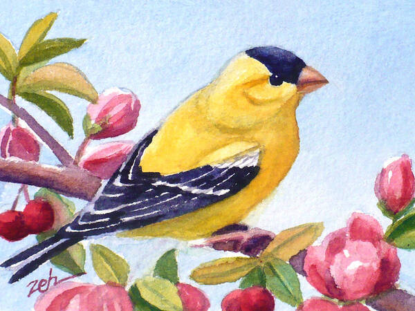 Goldfinch Bird Print Art Print featuring the painting Goldfinch in a Crab Apple Tree by Janet Zeh
