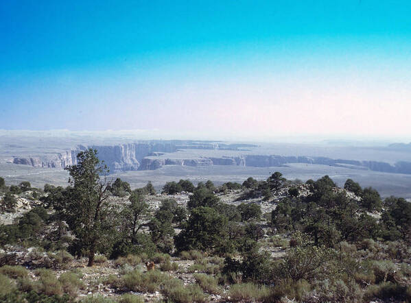 Grand Canyon Art Print featuring the photograph Grand Canyon 1972 by John Mathews