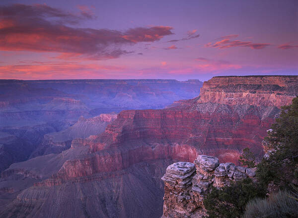 Feb0514 Art Print featuring the photograph Grand Canyon South Rim From Pima Point by Tim Fitzharris