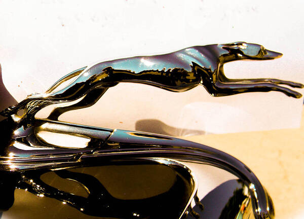 1934 Ford Hood Ornament Art Print featuring the photograph Greyhound by Christy Usilton